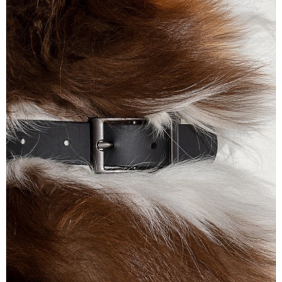 Wild One Dog Collar - Picture 2 of 7